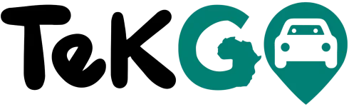 TekGo